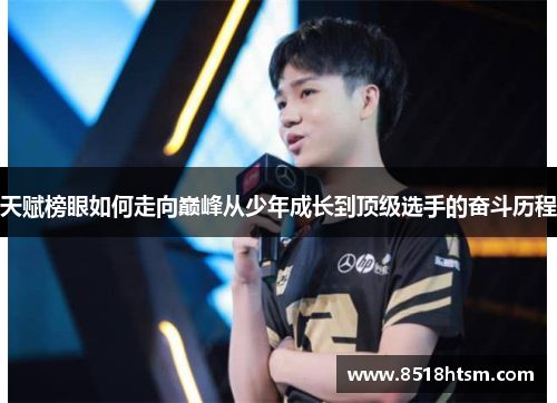 天赋榜眼如何走向巅峰从少年成长到顶级选手的奋斗历程