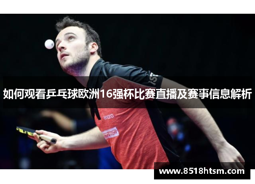 如何观看乒乓球欧洲16强杯比赛直播及赛事信息解析